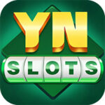 YN Slots